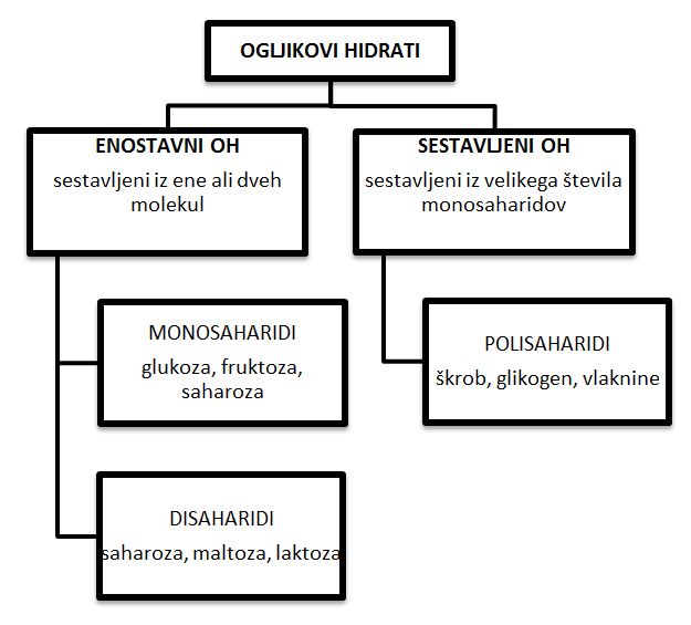 Ogljikovi hidrati