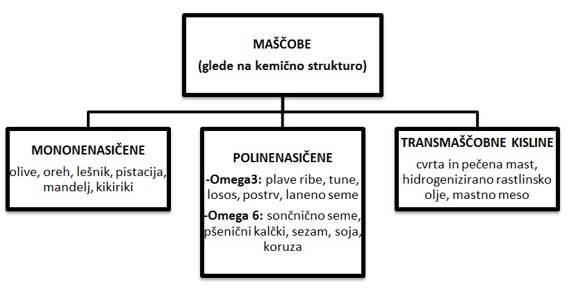 Razdelitev maščob