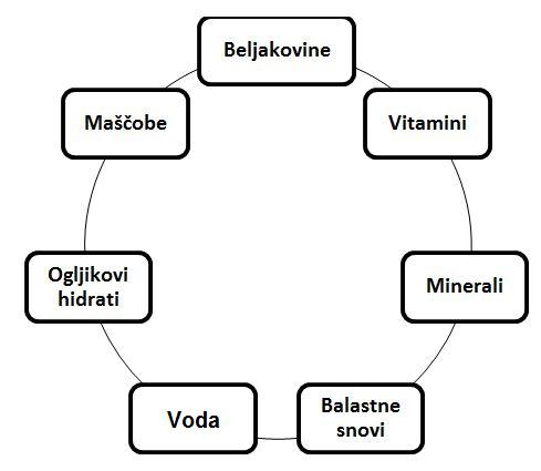 Osnovne sestavine prehrane